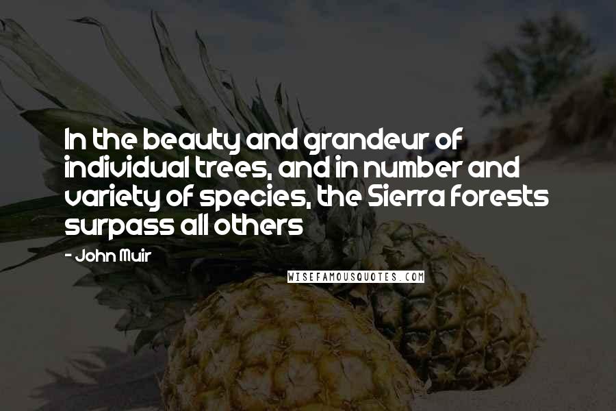 John Muir Quotes: In the beauty and grandeur of individual trees, and in number and variety of species, the Sierra forests surpass all others