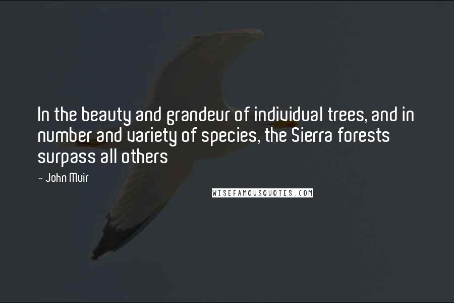 John Muir Quotes: In the beauty and grandeur of individual trees, and in number and variety of species, the Sierra forests surpass all others