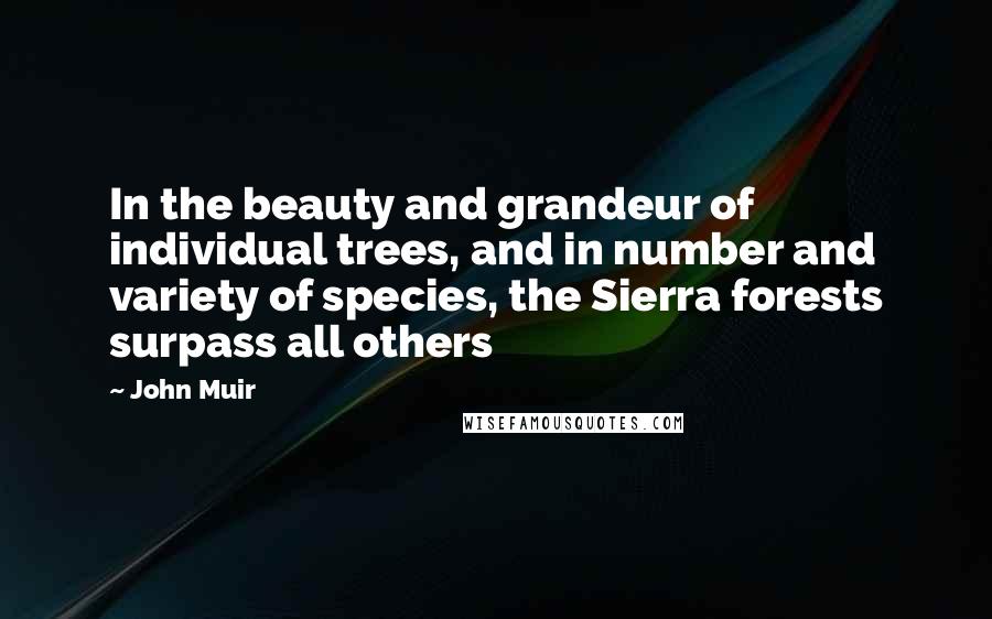 John Muir Quotes: In the beauty and grandeur of individual trees, and in number and variety of species, the Sierra forests surpass all others