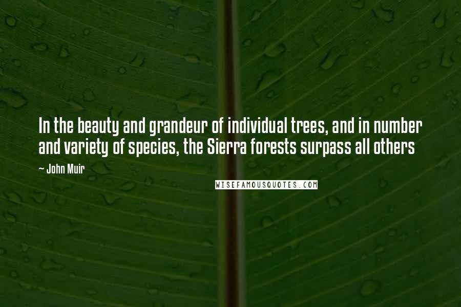 John Muir Quotes: In the beauty and grandeur of individual trees, and in number and variety of species, the Sierra forests surpass all others