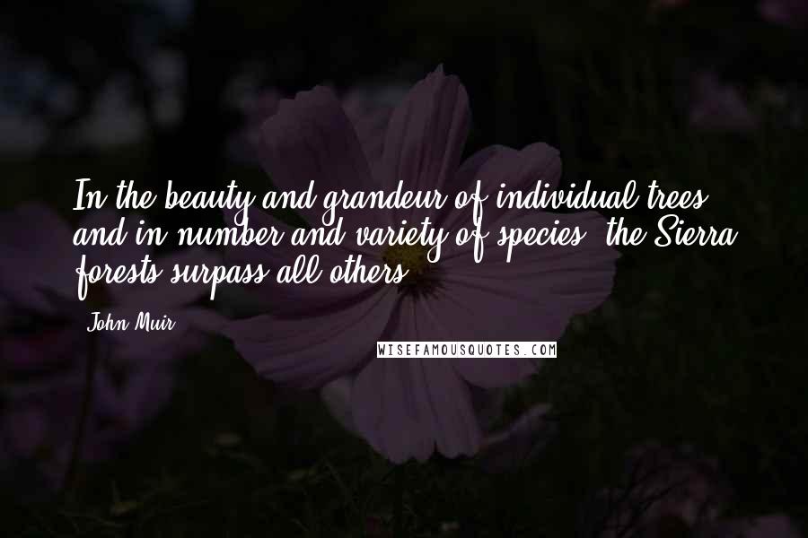 John Muir Quotes: In the beauty and grandeur of individual trees, and in number and variety of species, the Sierra forests surpass all others