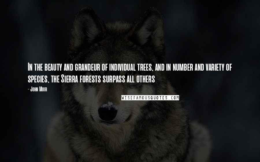 John Muir Quotes: In the beauty and grandeur of individual trees, and in number and variety of species, the Sierra forests surpass all others