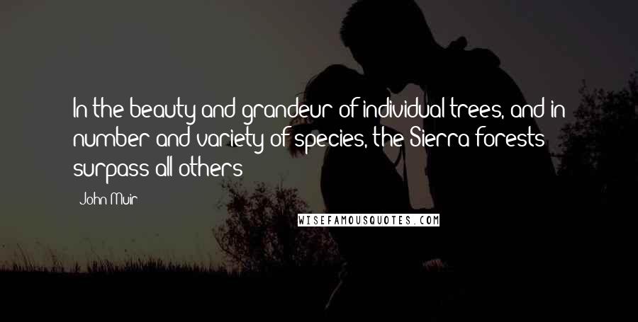 John Muir Quotes: In the beauty and grandeur of individual trees, and in number and variety of species, the Sierra forests surpass all others