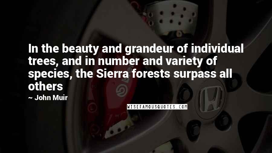 John Muir Quotes: In the beauty and grandeur of individual trees, and in number and variety of species, the Sierra forests surpass all others