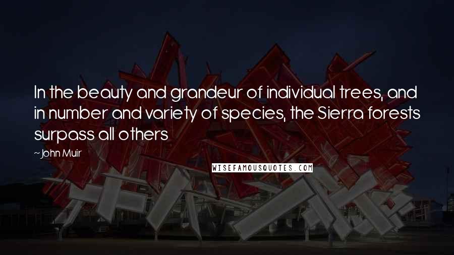 John Muir Quotes: In the beauty and grandeur of individual trees, and in number and variety of species, the Sierra forests surpass all others