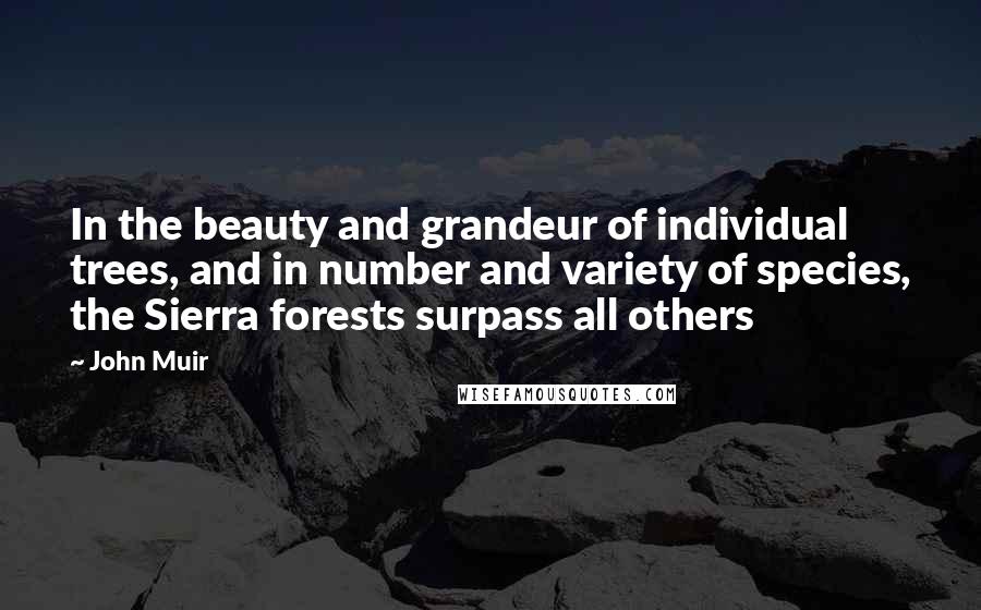 John Muir Quotes: In the beauty and grandeur of individual trees, and in number and variety of species, the Sierra forests surpass all others