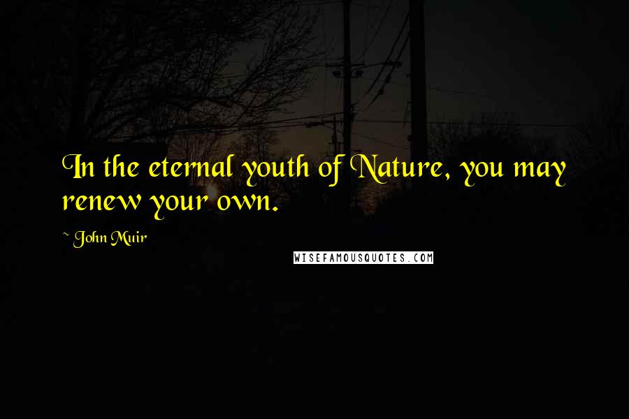 John Muir Quotes: In the eternal youth of Nature, you may renew your own.