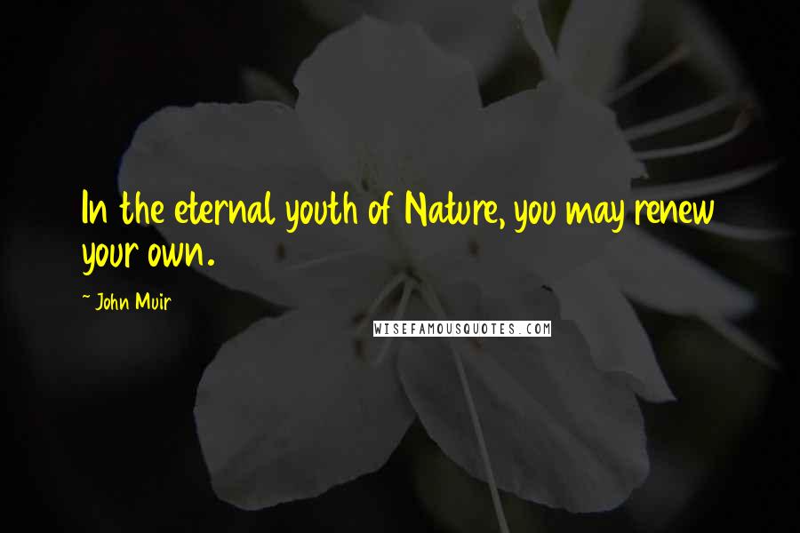 John Muir Quotes: In the eternal youth of Nature, you may renew your own.