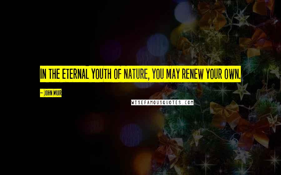 John Muir Quotes: In the eternal youth of Nature, you may renew your own.