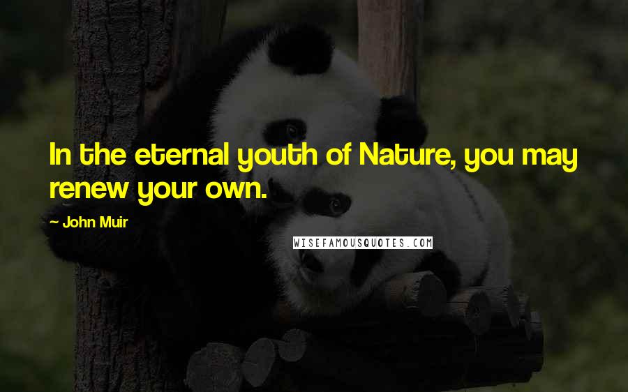 John Muir Quotes: In the eternal youth of Nature, you may renew your own.