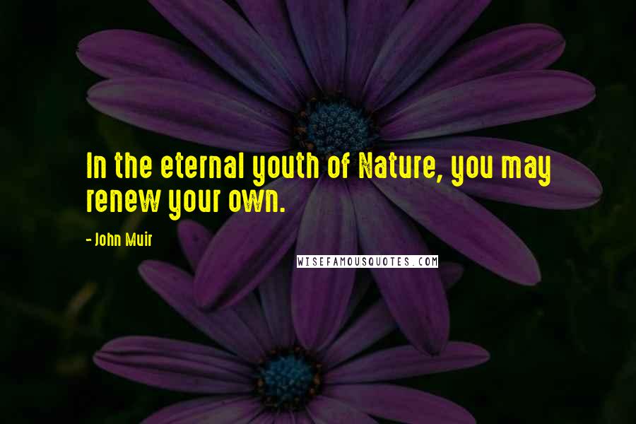 John Muir Quotes: In the eternal youth of Nature, you may renew your own.