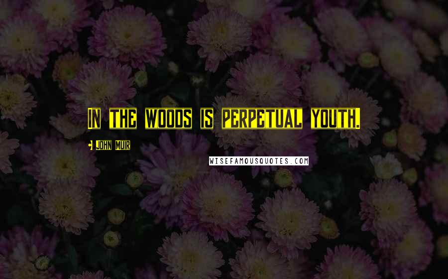 John Muir Quotes: In the woods is perpetual youth.