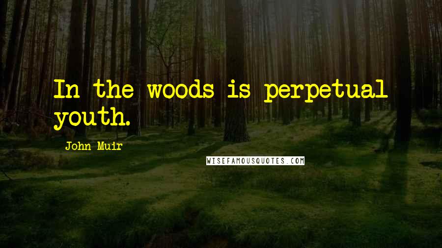 John Muir Quotes: In the woods is perpetual youth.