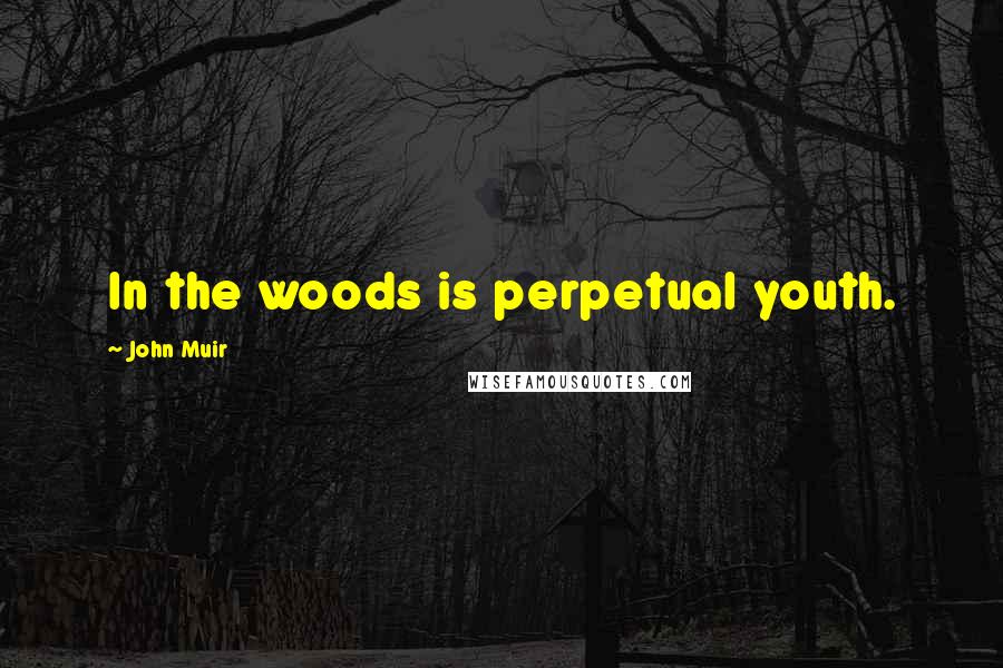 John Muir Quotes: In the woods is perpetual youth.