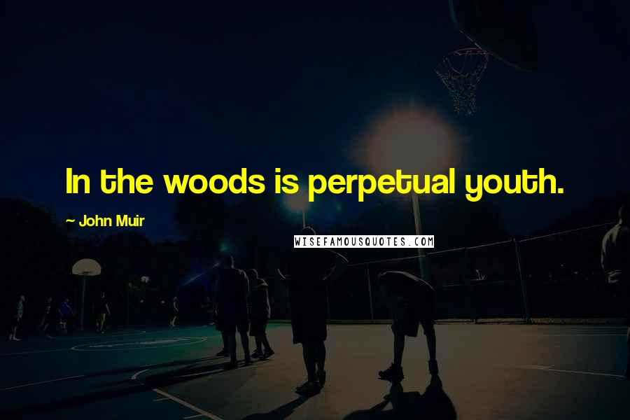 John Muir Quotes: In the woods is perpetual youth.