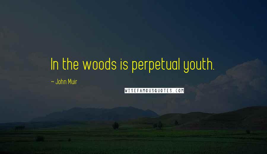 John Muir Quotes: In the woods is perpetual youth.