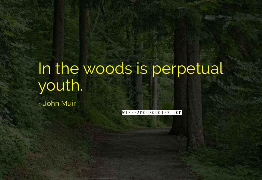 John Muir Quotes: In the woods is perpetual youth.