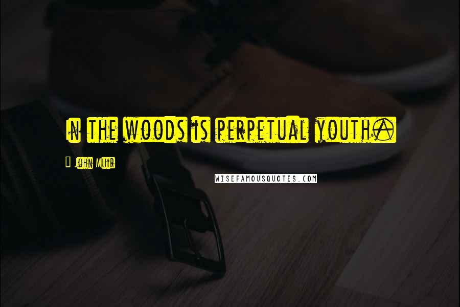 John Muir Quotes: In the woods is perpetual youth.