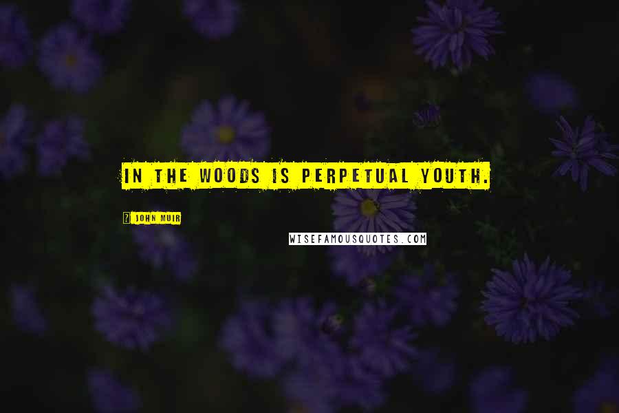 John Muir Quotes: In the woods is perpetual youth.