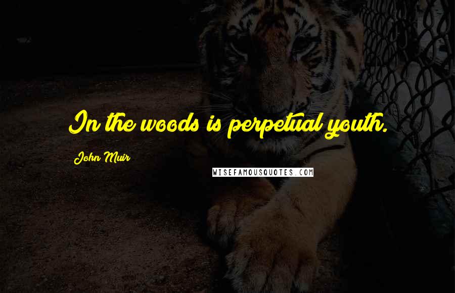 John Muir Quotes: In the woods is perpetual youth.