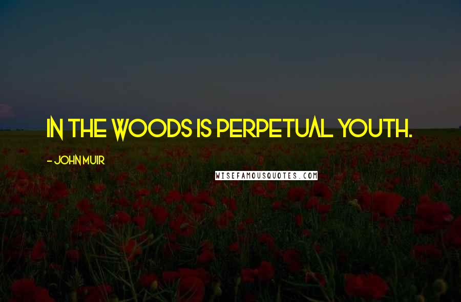 John Muir Quotes: In the woods is perpetual youth.