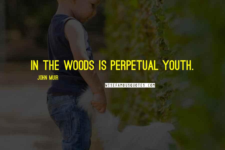 John Muir Quotes: In the woods is perpetual youth.