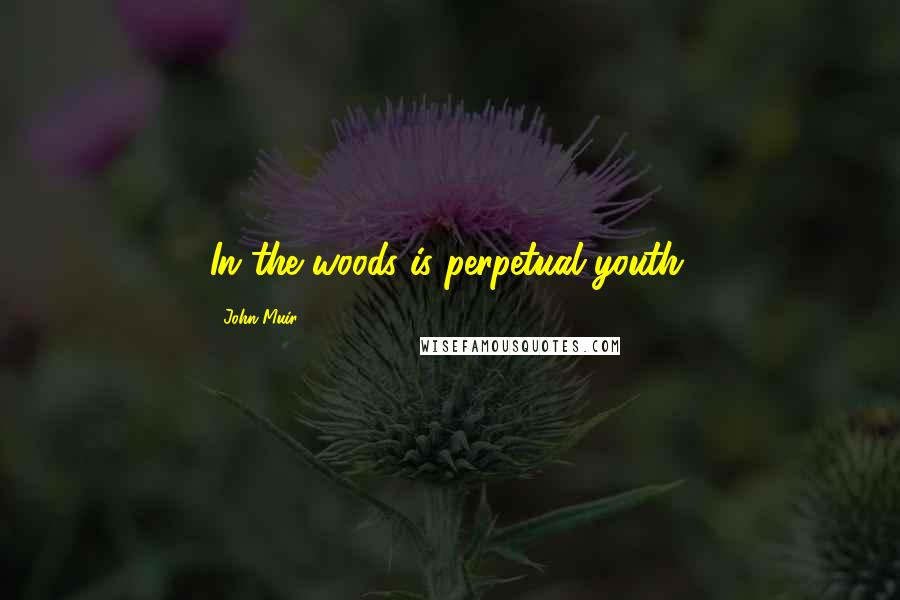 John Muir Quotes: In the woods is perpetual youth.