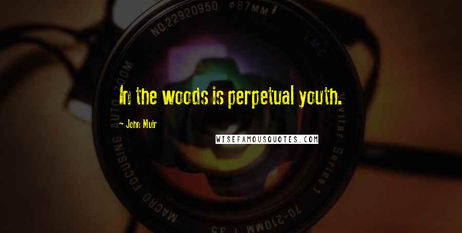 John Muir Quotes: In the woods is perpetual youth.