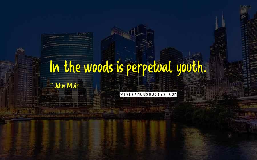 John Muir Quotes: In the woods is perpetual youth.