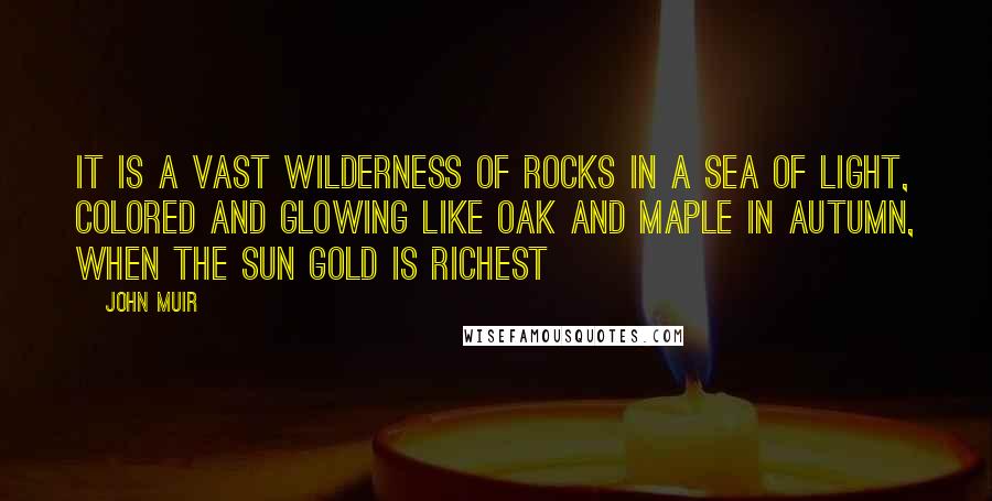 John Muir Quotes: It is a vast wilderness of rocks in a sea of light, colored and glowing like oak and maple in autumn, when the sun gold is richest