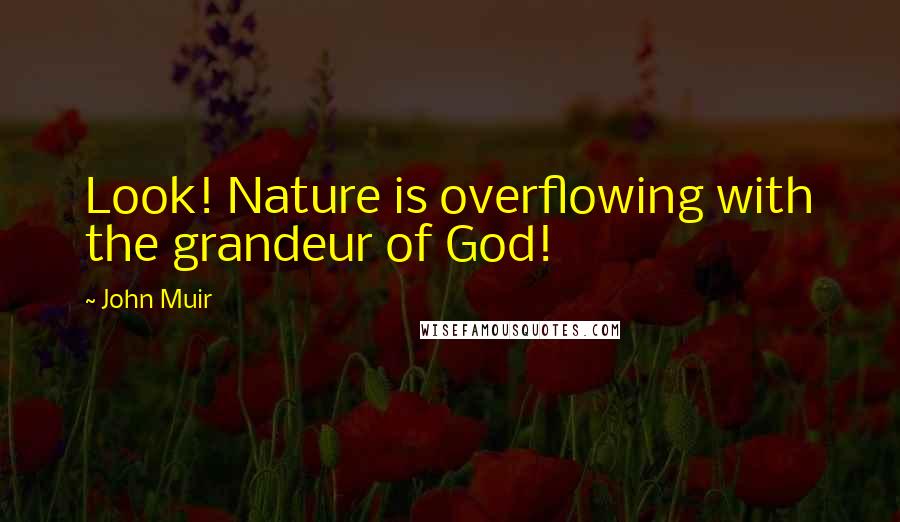 John Muir Quotes: Look! Nature is overflowing with the grandeur of God!