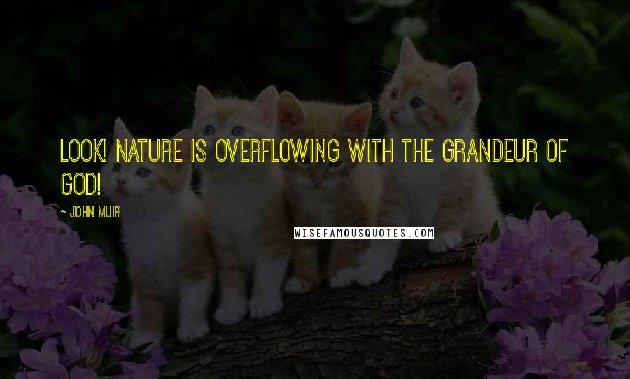 John Muir Quotes: Look! Nature is overflowing with the grandeur of God!