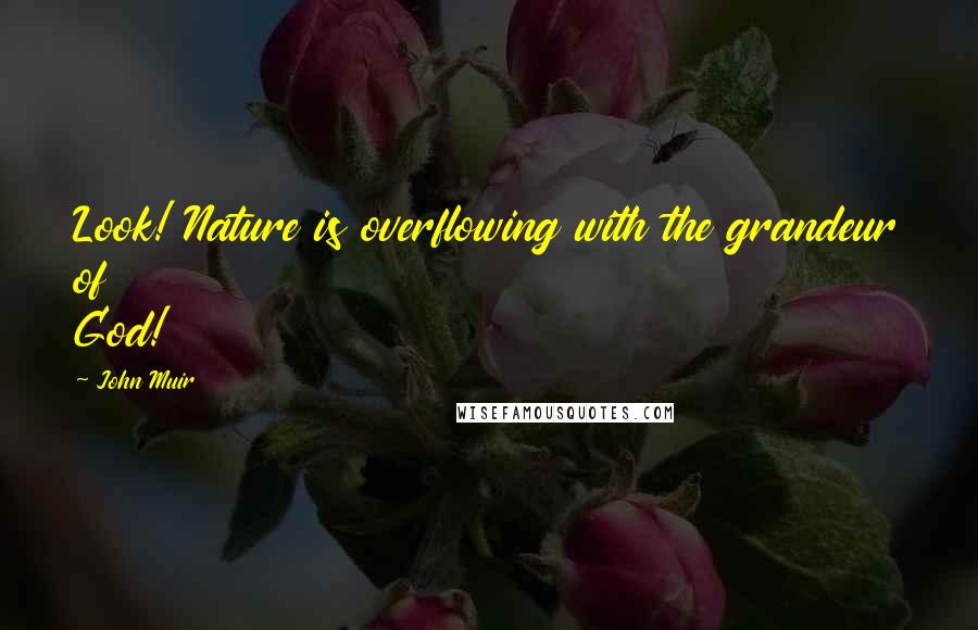 John Muir Quotes: Look! Nature is overflowing with the grandeur of God!