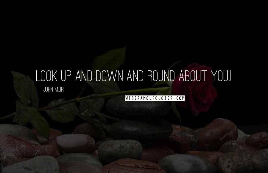 John Muir Quotes: Look up and down and round about you.!