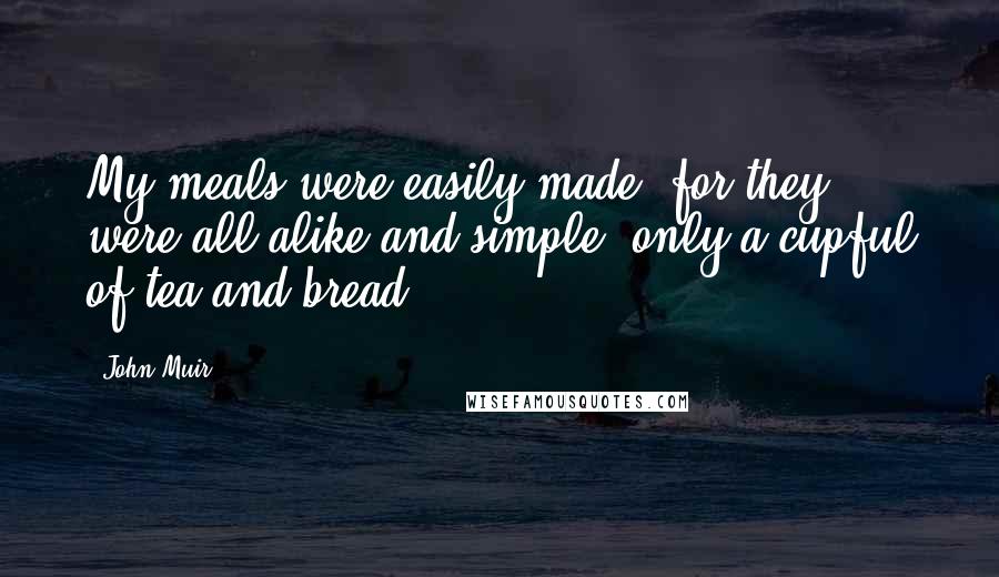 John Muir Quotes: My meals were easily made, for they were all alike and simple, only a cupful of tea and bread.