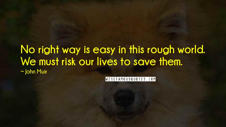 John Muir Quotes: No right way is easy in this rough world. We must risk our lives to save them.