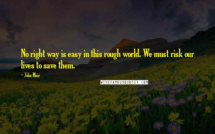 John Muir Quotes: No right way is easy in this rough world. We must risk our lives to save them.