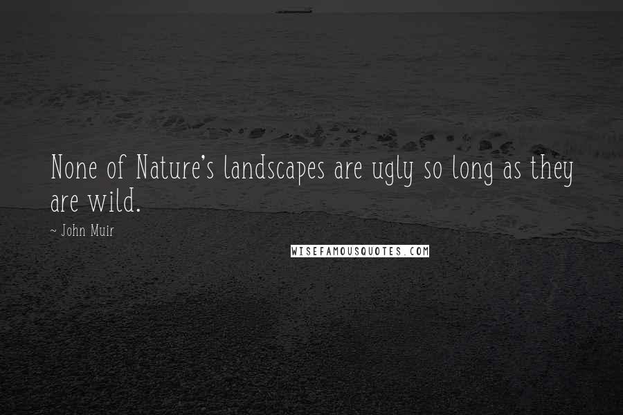 John Muir Quotes: None of Nature's landscapes are ugly so long as they are wild.