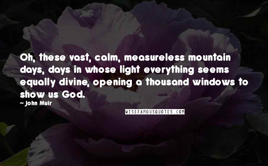 John Muir Quotes: Oh, these vast, calm, measureless mountain days, days in whose light everything seems equally divine, opening a thousand windows to show us God.