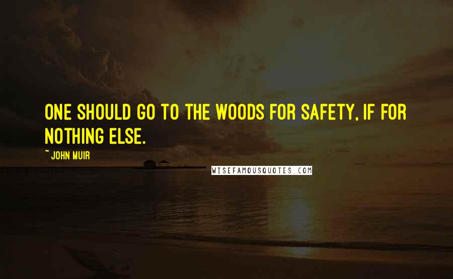 John Muir Quotes: One should go to the woods for safety, if for nothing else.