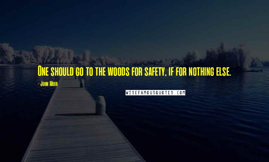 John Muir Quotes: One should go to the woods for safety, if for nothing else.