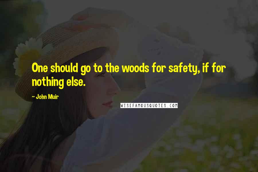 John Muir Quotes: One should go to the woods for safety, if for nothing else.