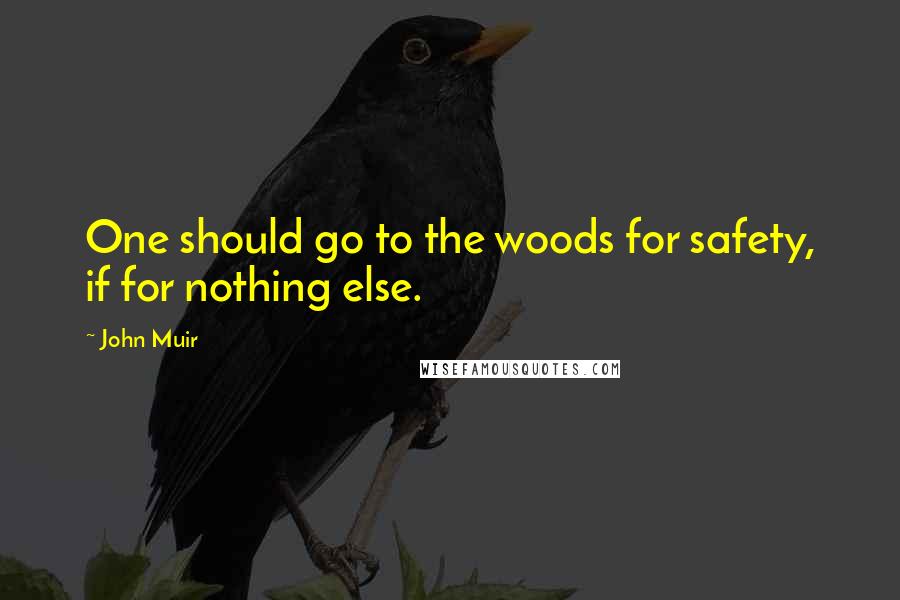 John Muir Quotes: One should go to the woods for safety, if for nothing else.