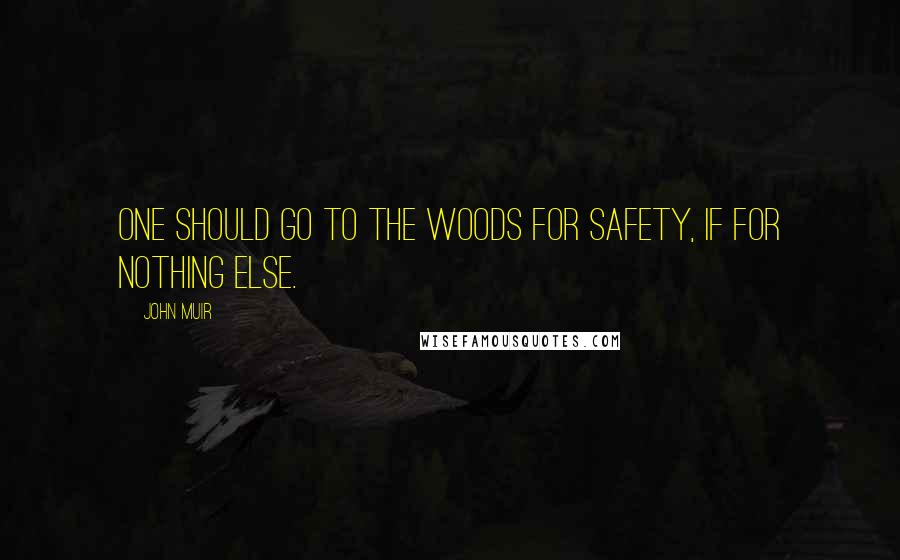 John Muir Quotes: One should go to the woods for safety, if for nothing else.