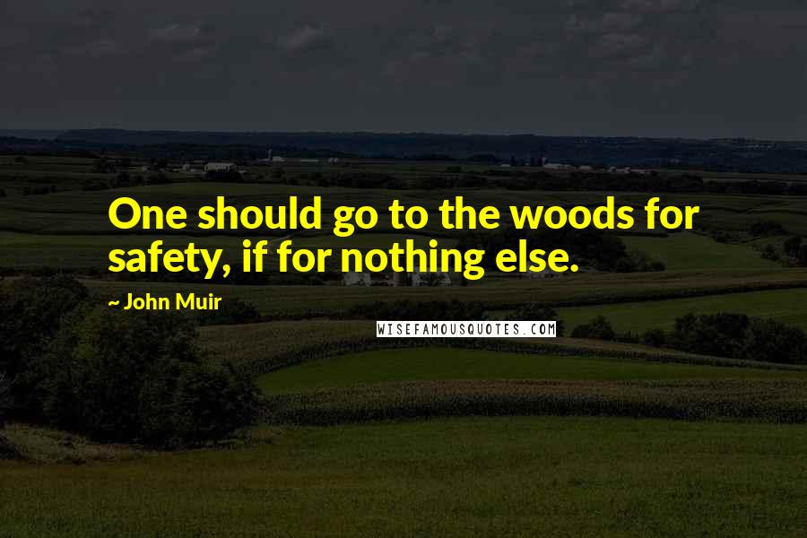 John Muir Quotes: One should go to the woods for safety, if for nothing else.