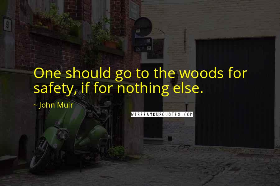 John Muir Quotes: One should go to the woods for safety, if for nothing else.