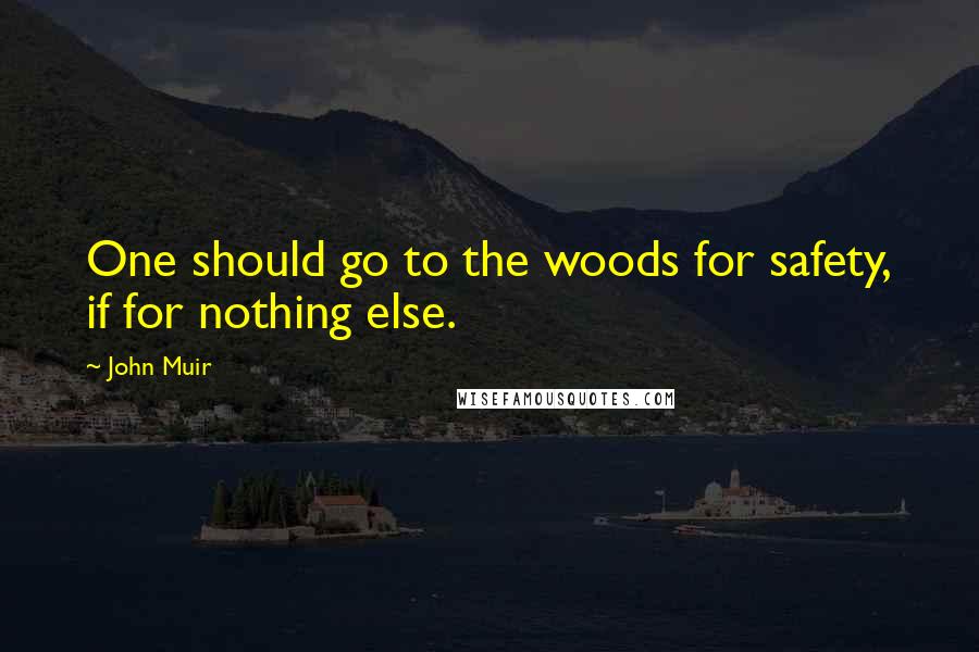 John Muir Quotes: One should go to the woods for safety, if for nothing else.