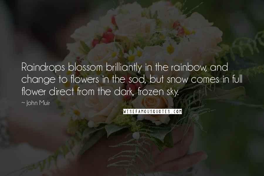 John Muir Quotes: Raindrops blossom brilliantly in the rainbow, and change to flowers in the sod, but snow comes in full flower direct from the dark, frozen sky.