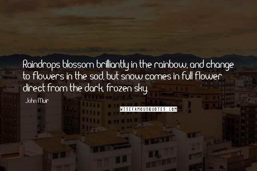 John Muir Quotes: Raindrops blossom brilliantly in the rainbow, and change to flowers in the sod, but snow comes in full flower direct from the dark, frozen sky.