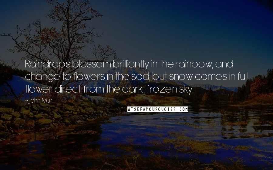 John Muir Quotes: Raindrops blossom brilliantly in the rainbow, and change to flowers in the sod, but snow comes in full flower direct from the dark, frozen sky.